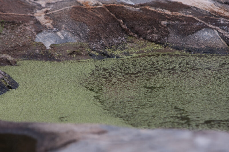 Photo: WVI_001317 — Brazil, South America