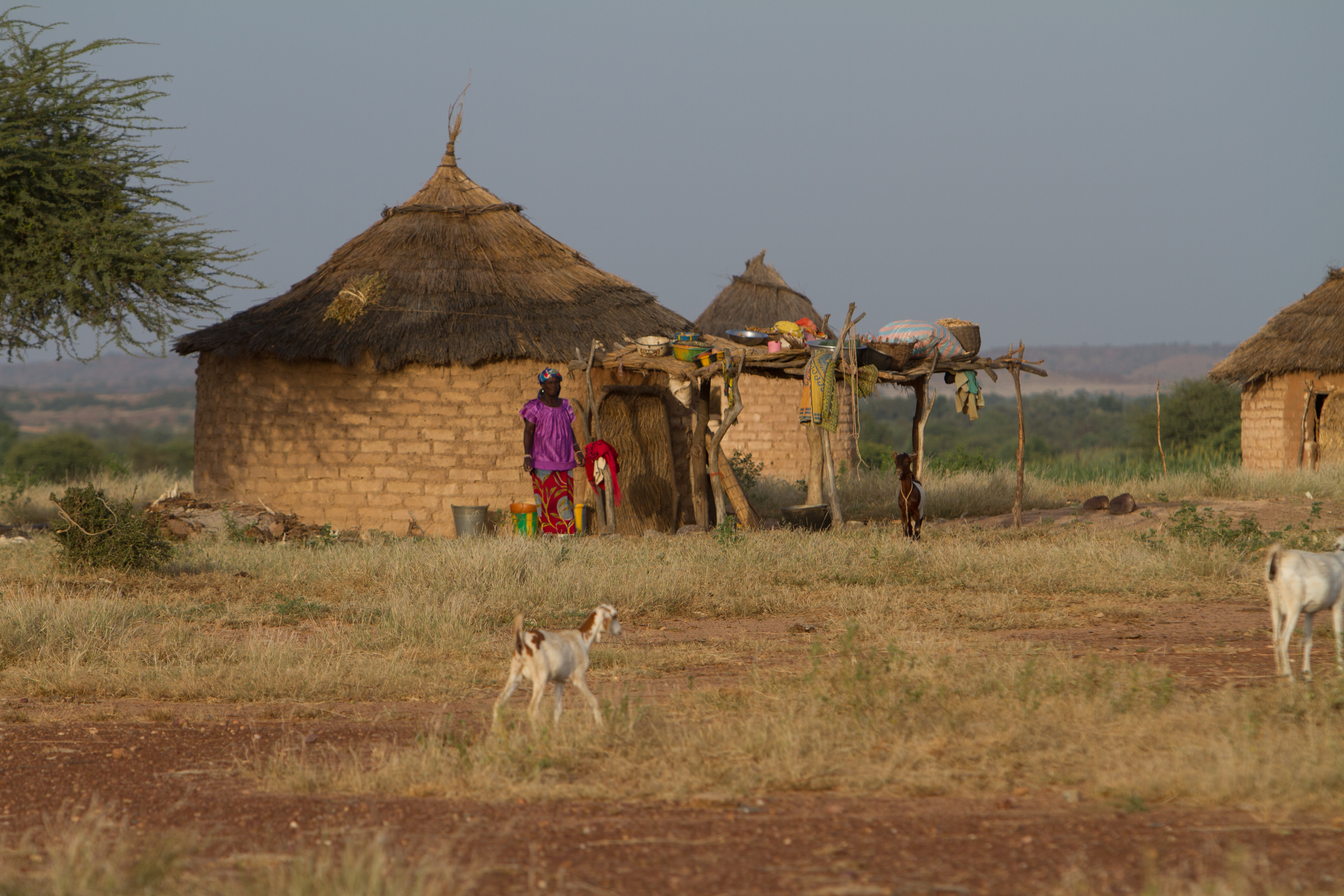 Rural Village Housing