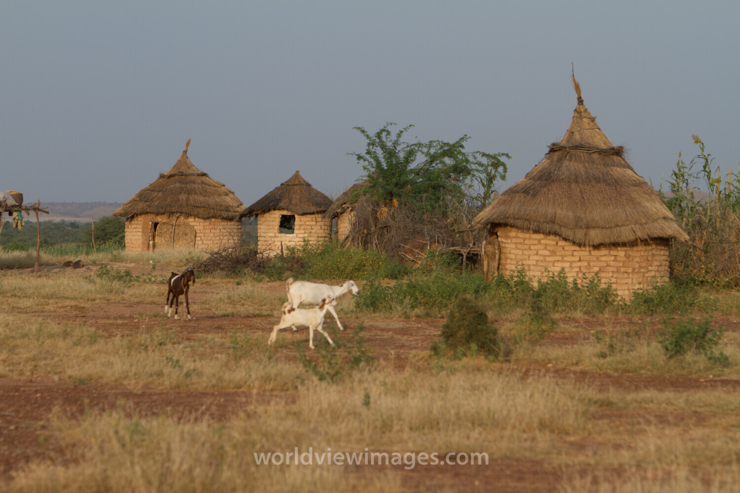 Rural Village Housing