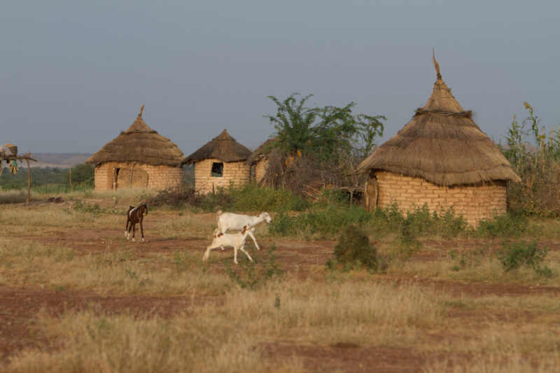 Rural Village Housing — Houses in a rural village in Burkina Faso, Africa — Africa, West Africa, Burkina Faso, poor, poverty