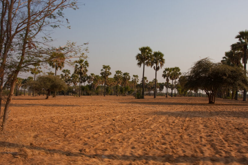 Myanmar — ADRA, Burma, Myanmar, fields, Agriculture