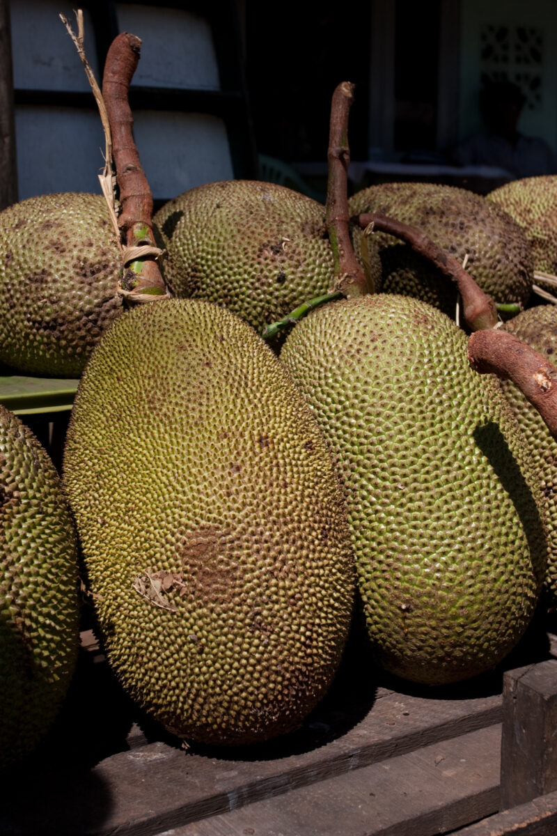 Myanmar — A Favorite fruit in SE Asia, Jack Fruit — Burma, Myanmar, Jack, Fruit, jackfruit
