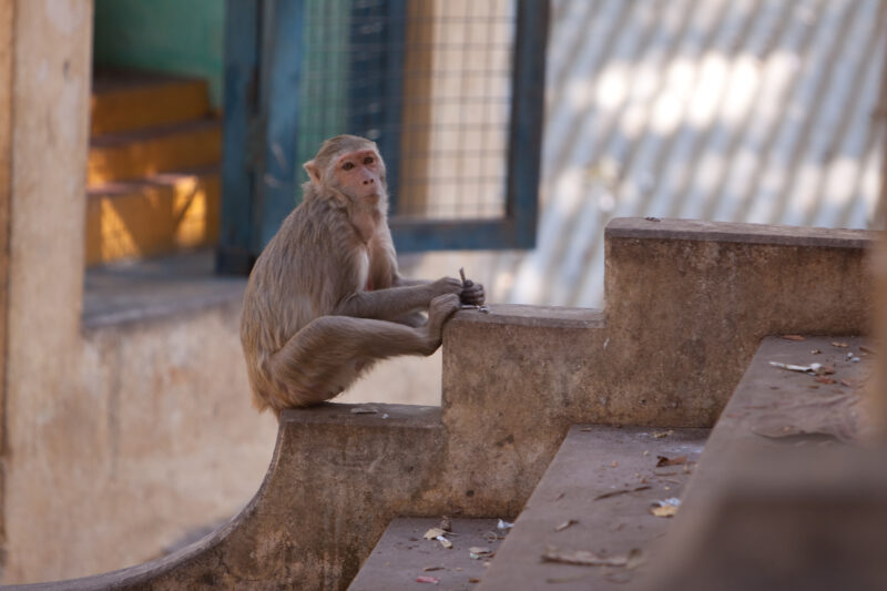 Photo: Myanmar — ADRA, Burma, Myanmar