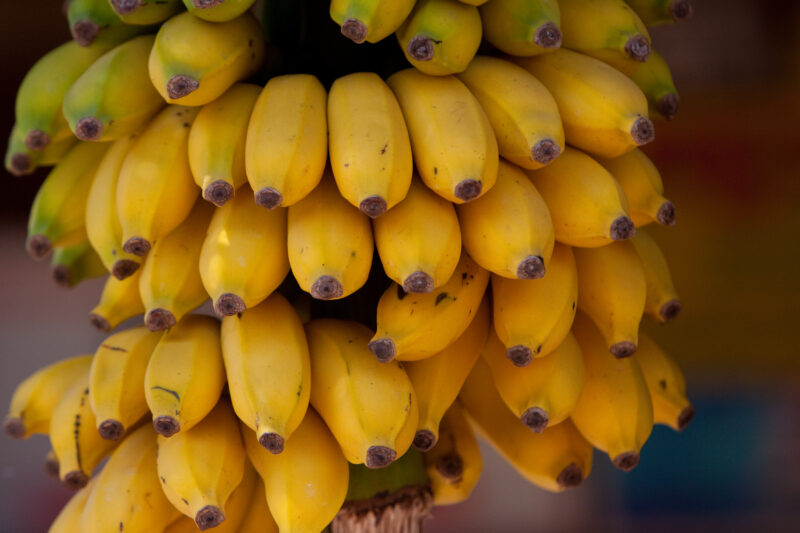 Myanmar — Burma, Myanmar, fruit, bananas, market