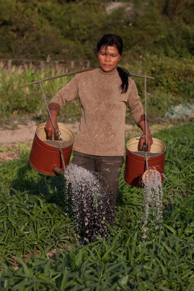 Watering Garden — Woman waters her morning Glory plants in her market garden as an income generation project that she has learned through her women's group s...