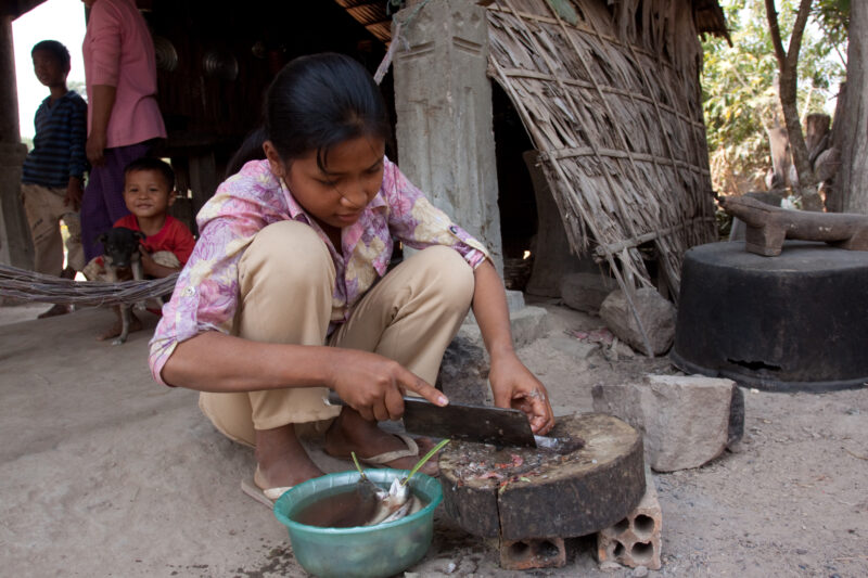 Food Preporation in Cambodia — Stock image of young girl in Cambodia as she helps her mother prepare lunch by cleaning a fish — Cambodia, ADRA, faces, childr...