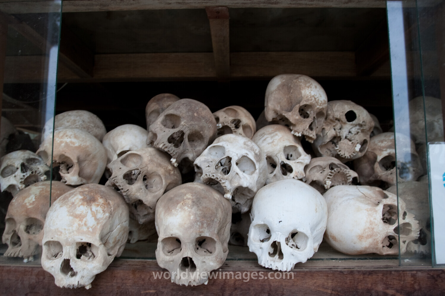 Victims of Genocide in Cambodia