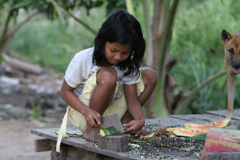 Chopping a Melon in Cambodia — Stock image of young girl in Cambodia chopping up a melon to feed to her family's pigs. — Cambodia, ADRA, faces, children, girls