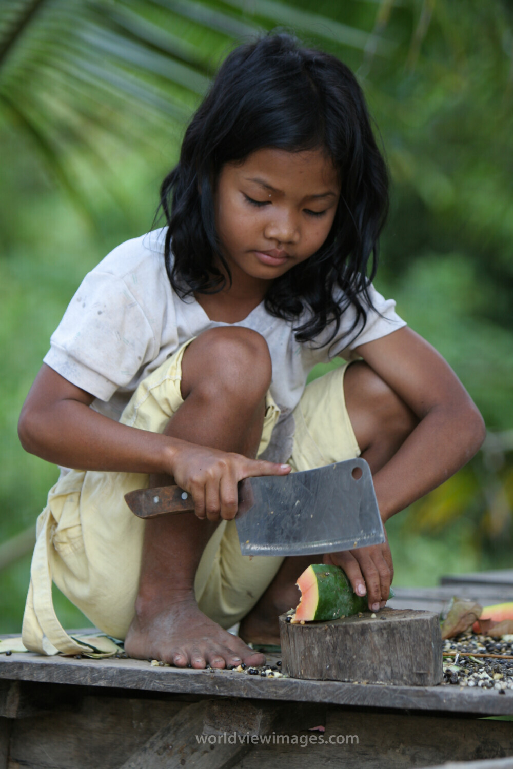 Chopping a Melon in Cambodia