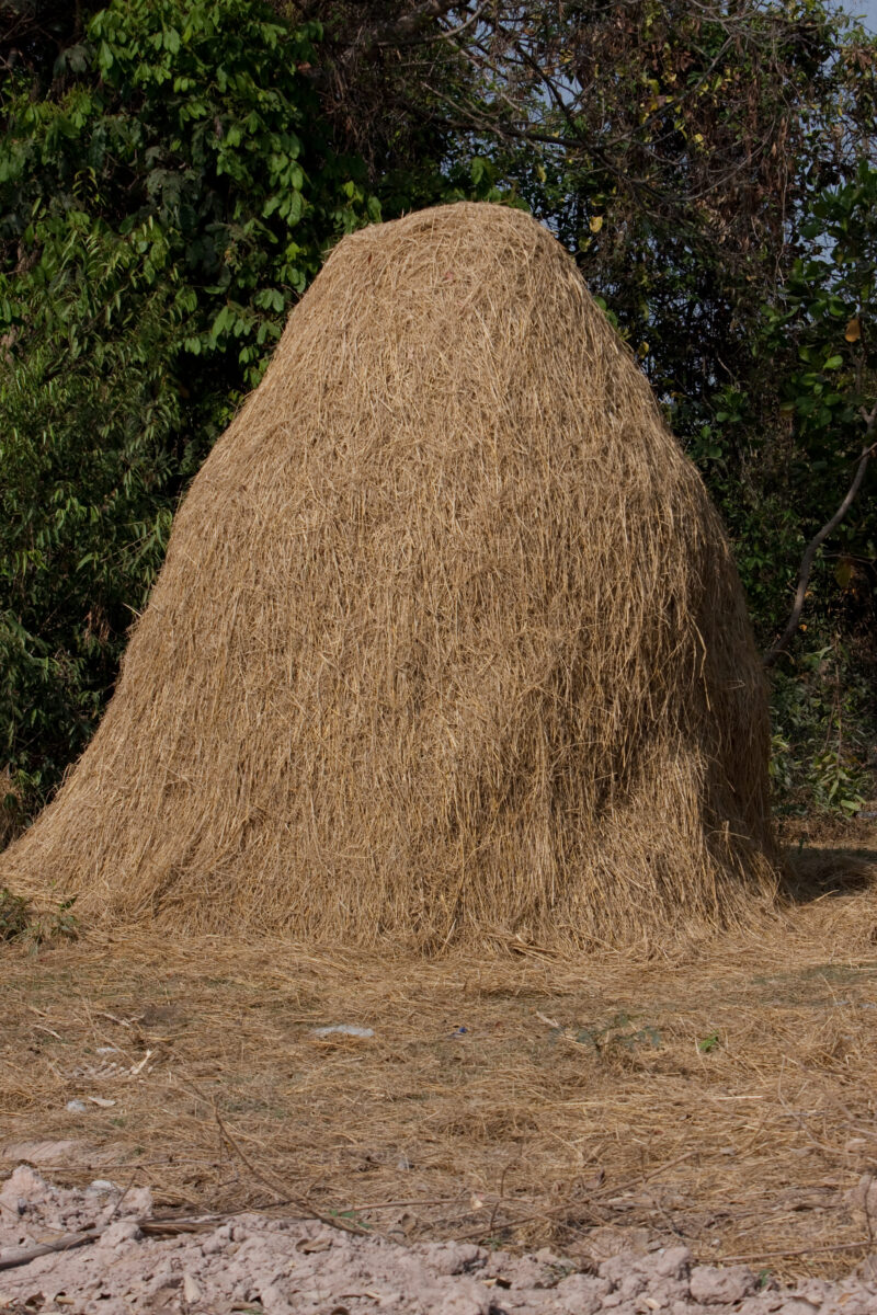 Haystack in Cambodia — Typical haystack for feeding the animals that live with the farmers of rural Cambodia — Cambodia, hay, haystack, farm, rural