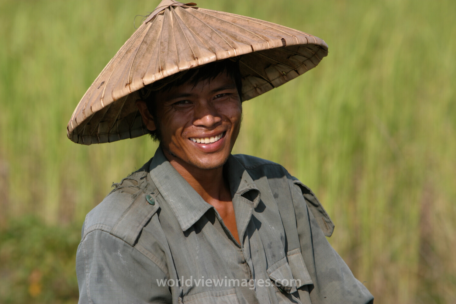 Farmer in His Field in Cambodia