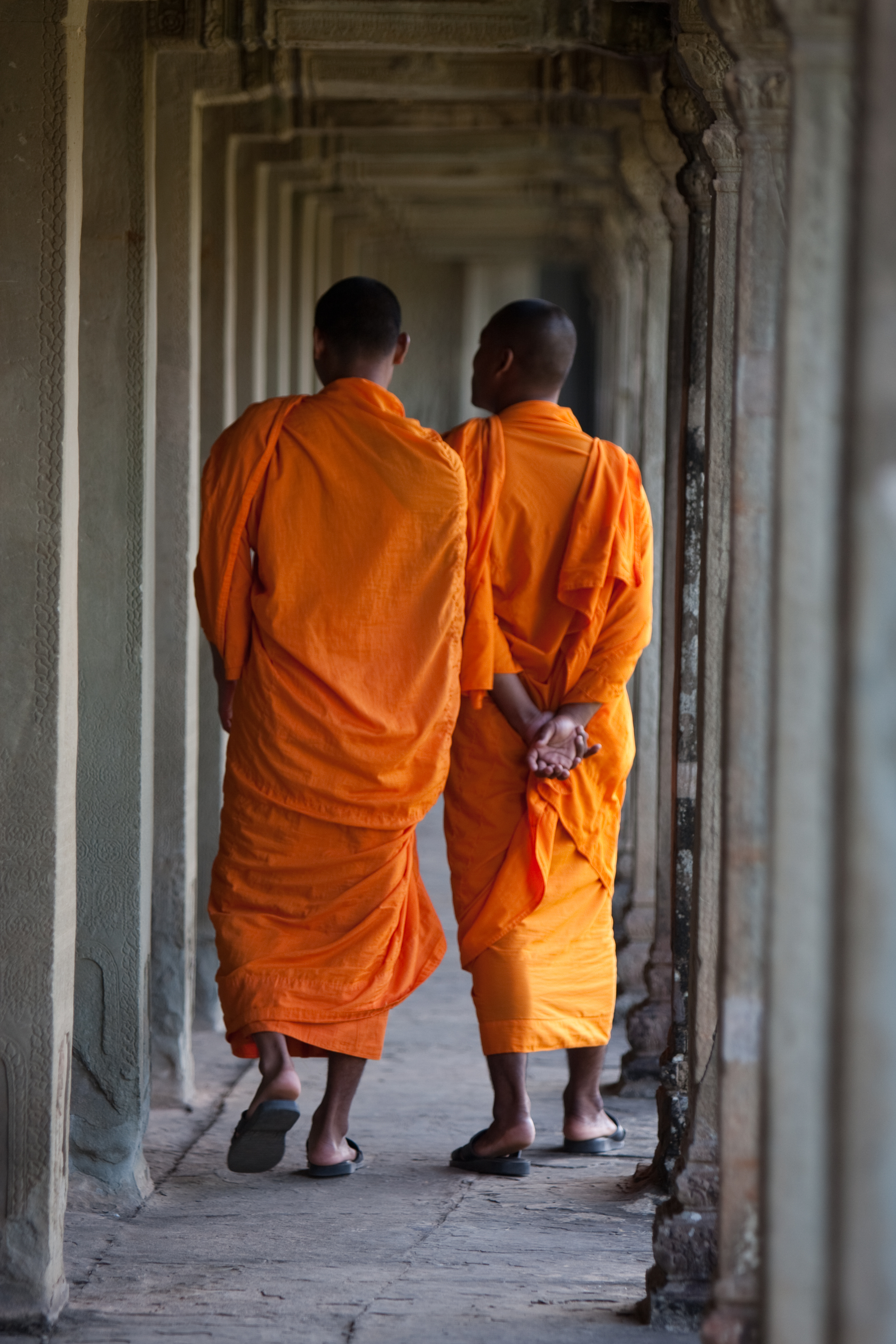 Buddhist Monks in Cambodia