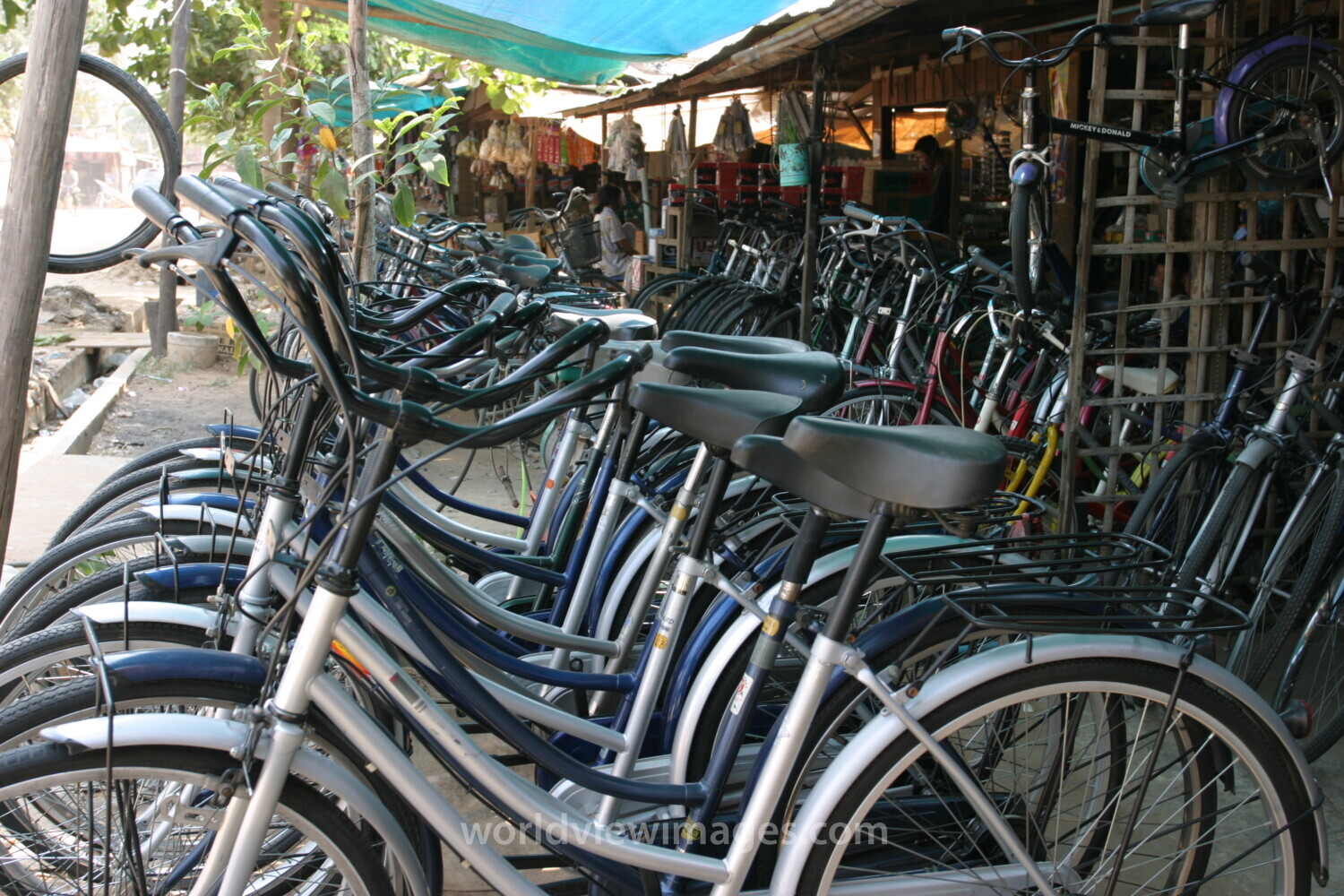 Bicycle shop in Cambodia
