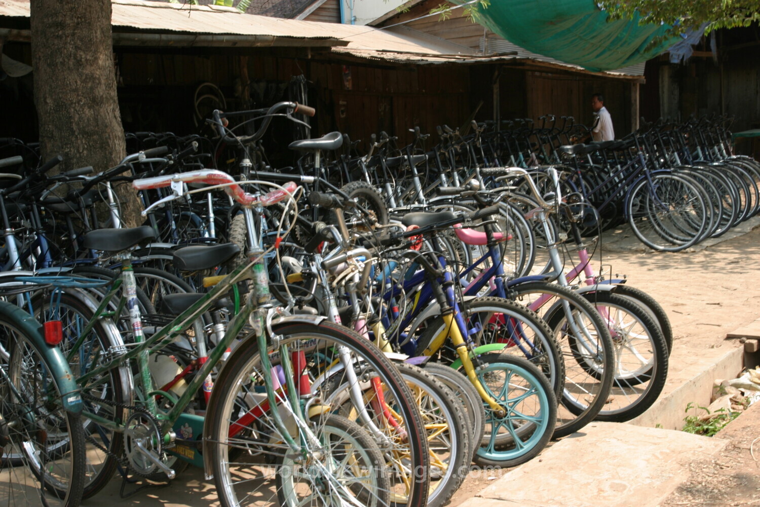 Bicycle shop in Cambodia