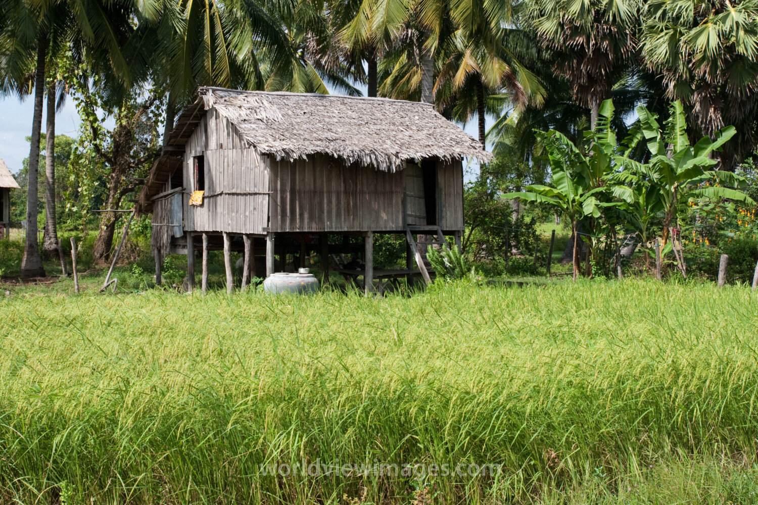 Houses in Cambodia