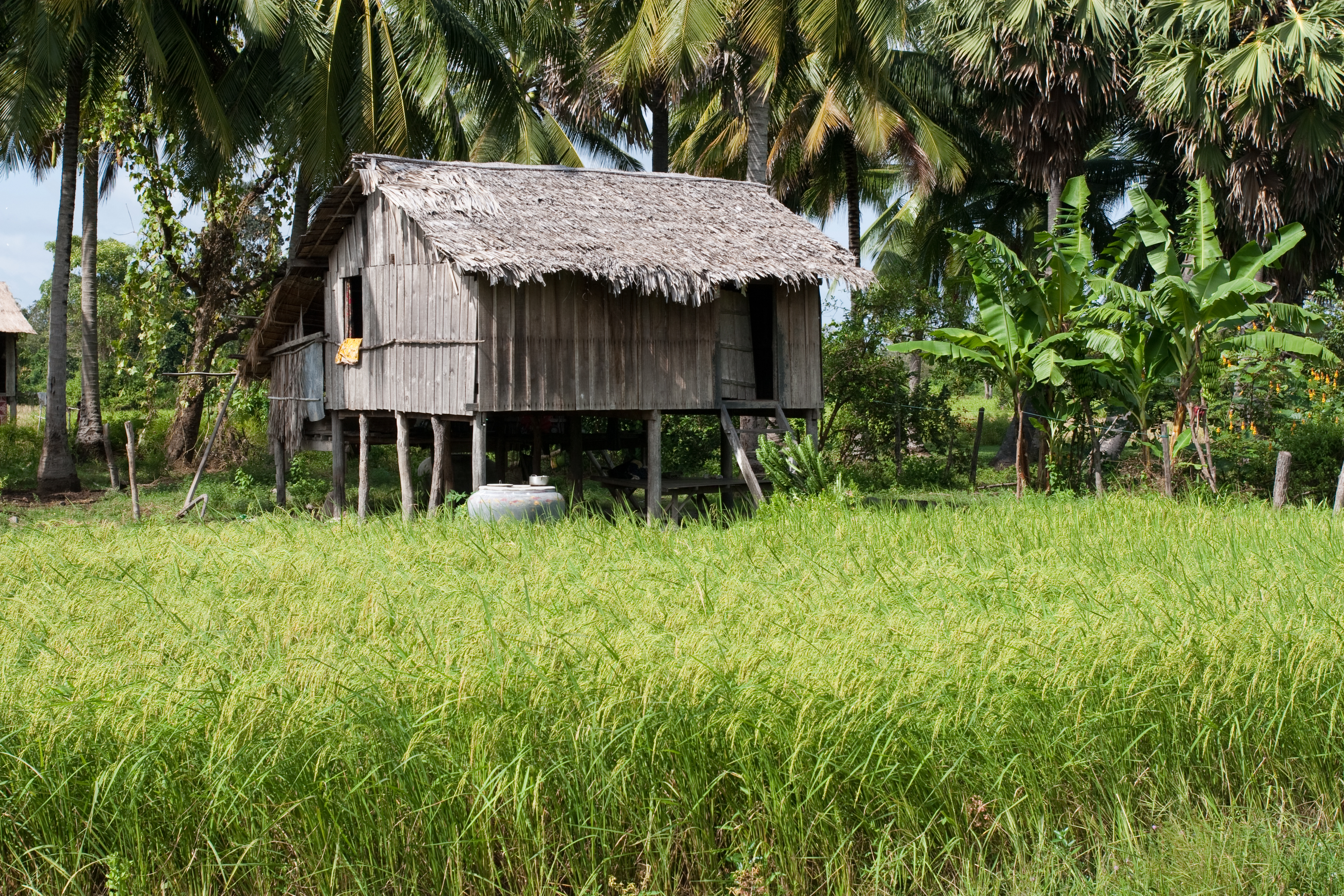 Houses in Cambodia