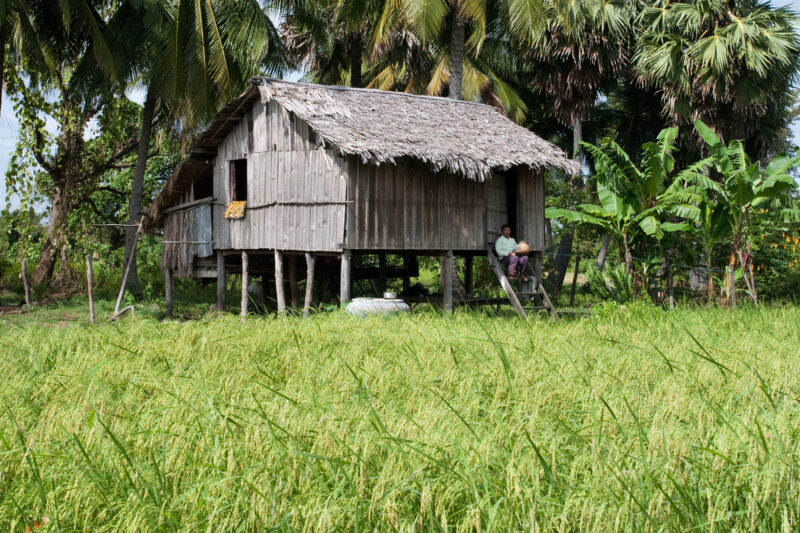 Houses in Cambodia — Stock image of typical housing of rural poor in Cambodia — Cambodia, poor, poverty, housing, houses