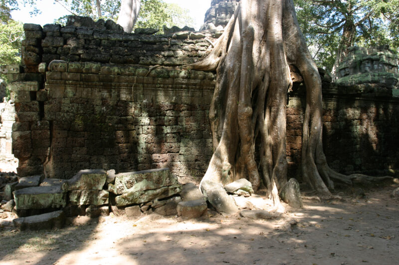 Angkor Wat in Cambodia — Stock image of the temple ruins of Angkor Wat complex near Siem Reap, Cambodia — Cambodia, Angkor Wat, Siem Reap, temple, temple ruins