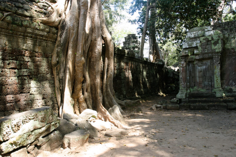 Angkor Wat in Cambodia — Stock image of the temple ruins of Angkor Wat complex near Siem Reap, Cambodia — Cambodia, Angkor Wat, Siem Reap, temple, temple ruins