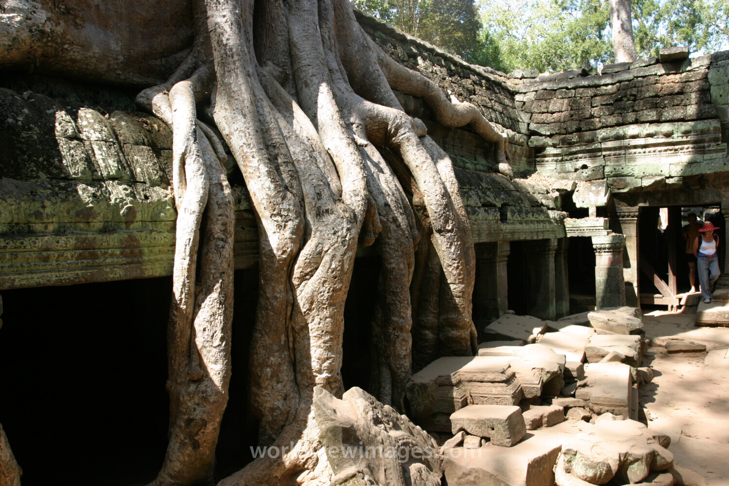 Angkor Wat in Cambodia