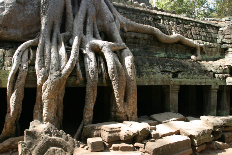Angkor Wat in Cambodia — Stock image of the temple ruins of Angkor Wat complex near Siem Reap, Cambodia — Cambodia, Angkor Wat, Siem Reap, temple, temple ruins