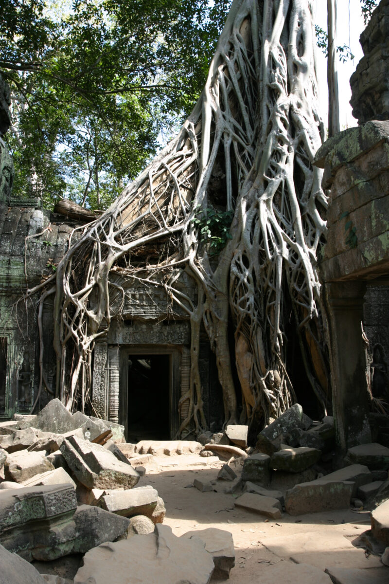 Angkor Wat in Cambodia — Stock image of the temple ruins of Angkor Wat complex near Siem Reap, Cambodia — Cambodia, Angkor Wat, Siem Reap, temple, temple ruins