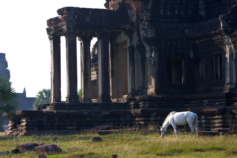 Angkor Wat in Cambodia — Stock image of the temple ruins of Angkor Wat complex near Siem Reap, Cambodia — Cambodia, Angkor Wat, Siem Reap, temple, temple ruins