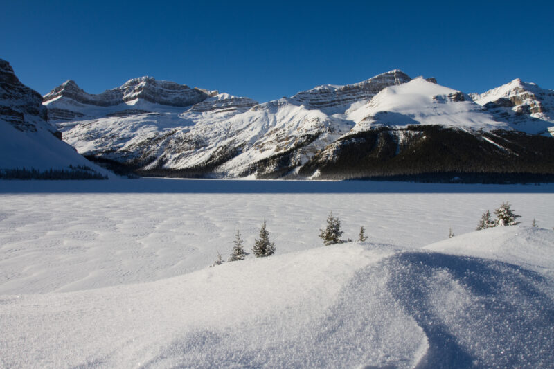 Bow Lake in the Winter — Snow Covered Bow Lake in Banff National Park — Canada, Scenic, Alberta, Lakes, mountians