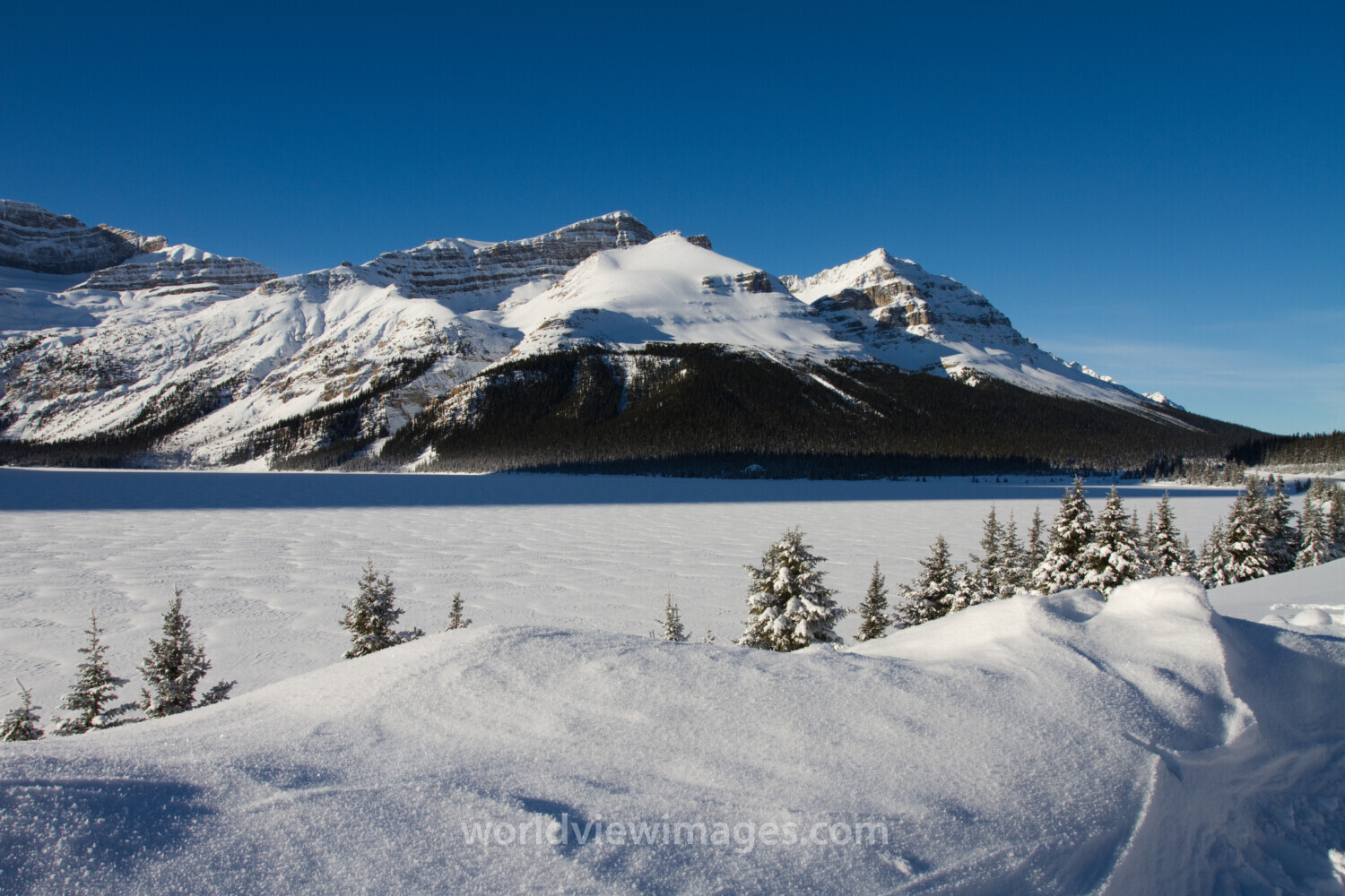 Bow Lake in the Winter