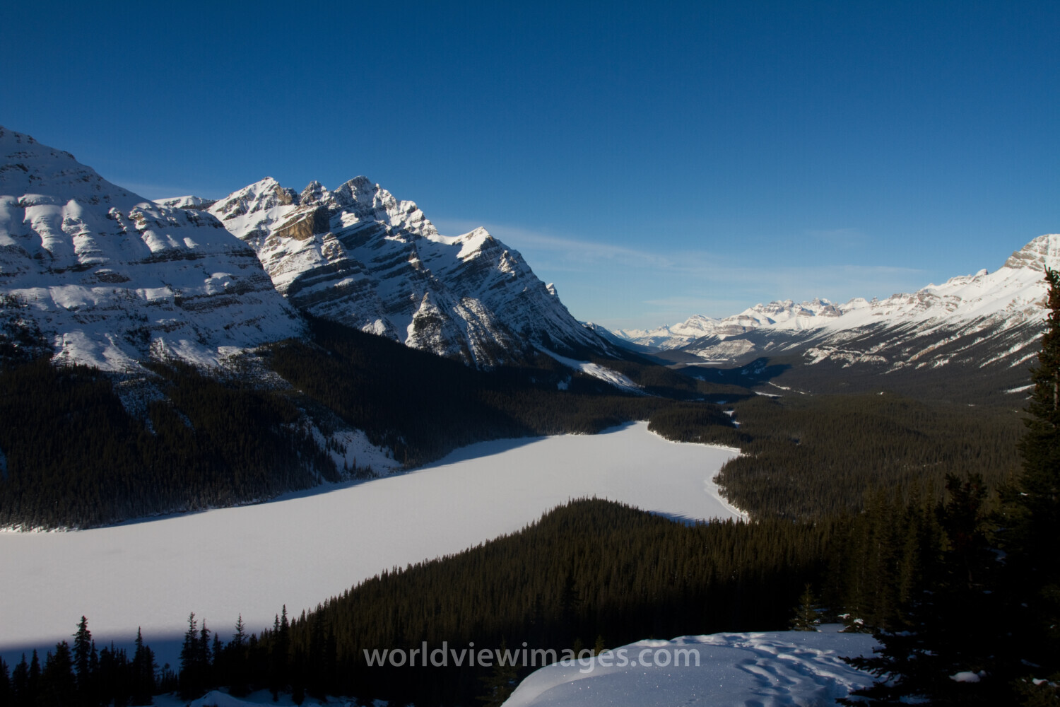 Peyto Lake in Winter