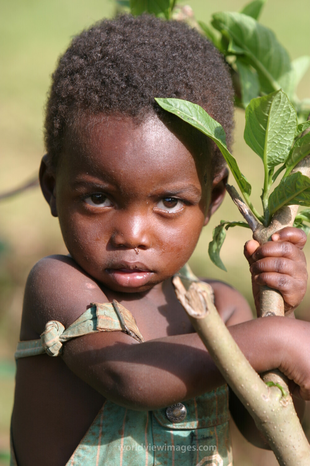 Baby in Malawi, Africa