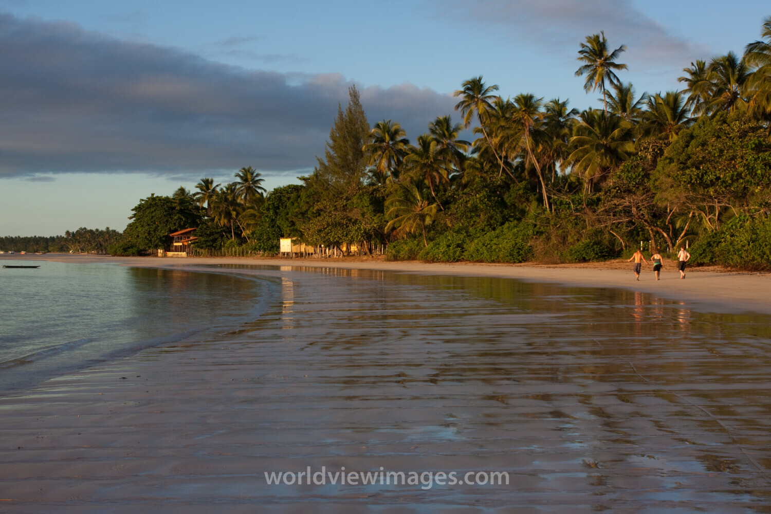 Beach in Brazil