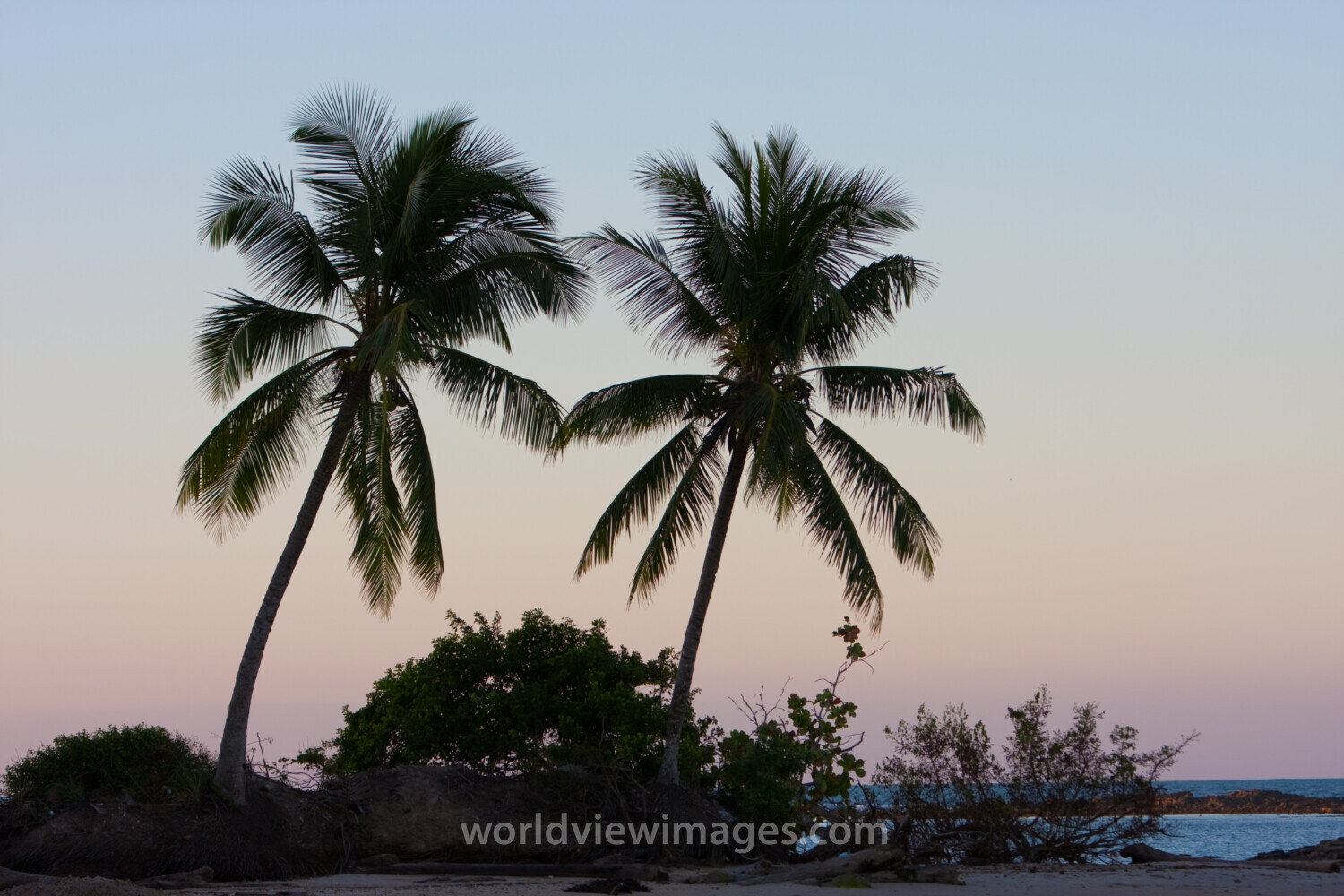Beach in Brazil