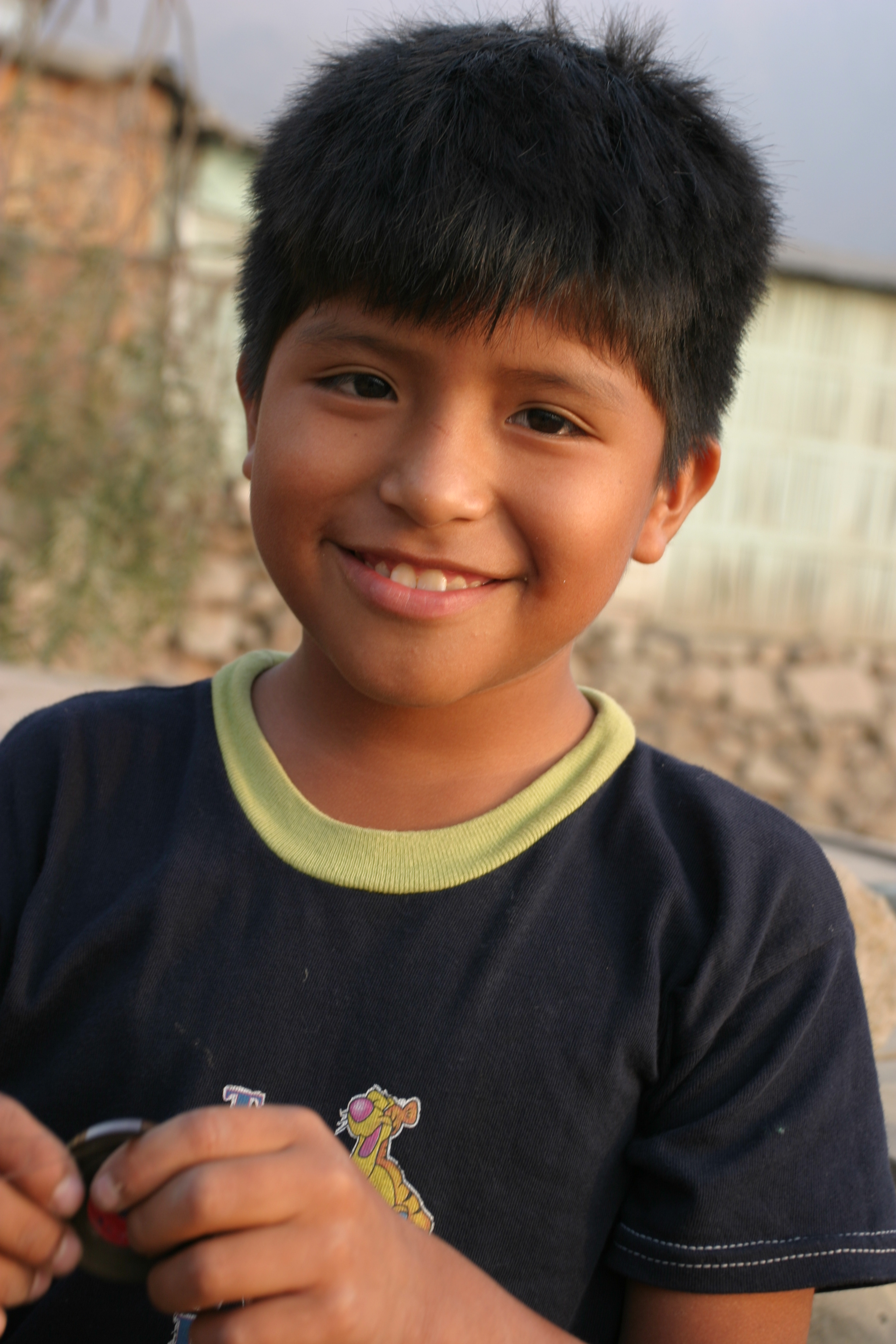 Boys in Peru
