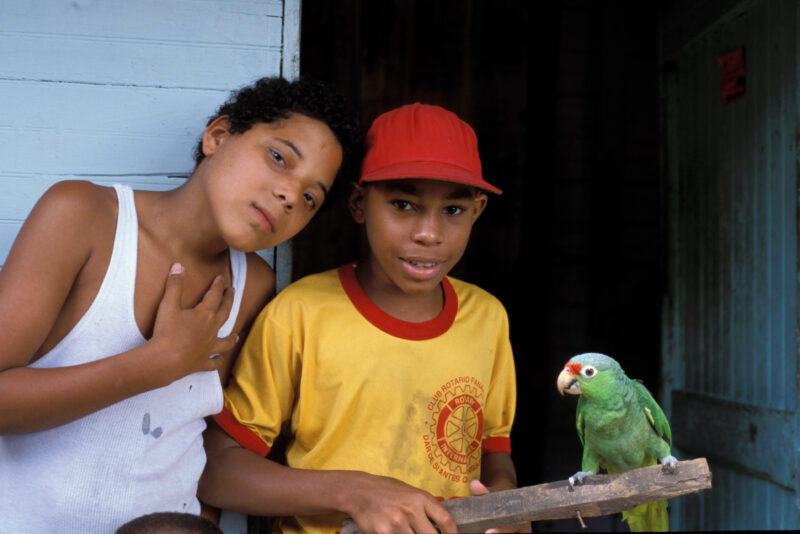 Children in Panama — Boys growing up in the slums of Panama, with their Parrot — Panama, boy, boys, bird, parrot
