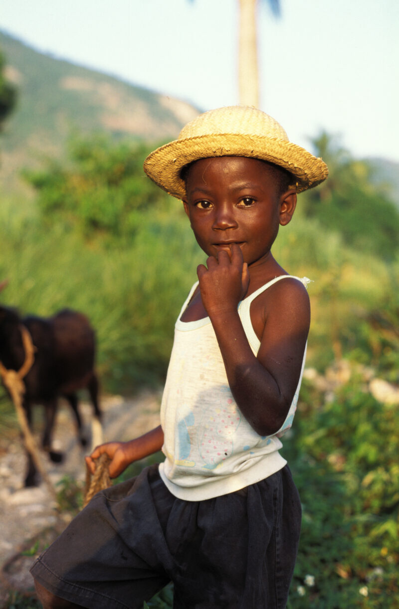Boy in Haiti — Boy living in rural Haiti in the Evening light as he herds the family goats — Haiti, boy, boys, faces, child