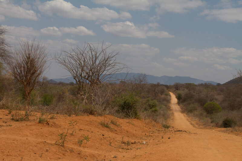 Drought in Kenya — Stock Images of Climate change in Keny leading to years of drought and desertification — Kenya, drought