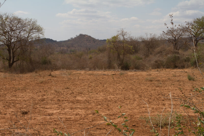 Drought in Kenya — Stock Images of Climate change in Keny leading to years of drought and desertification — Kenya, drought