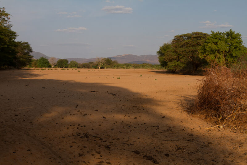 Drought in Kenya — Stock Images of Climate change in Keny leading to years of drought and desertification — Kenya, drought