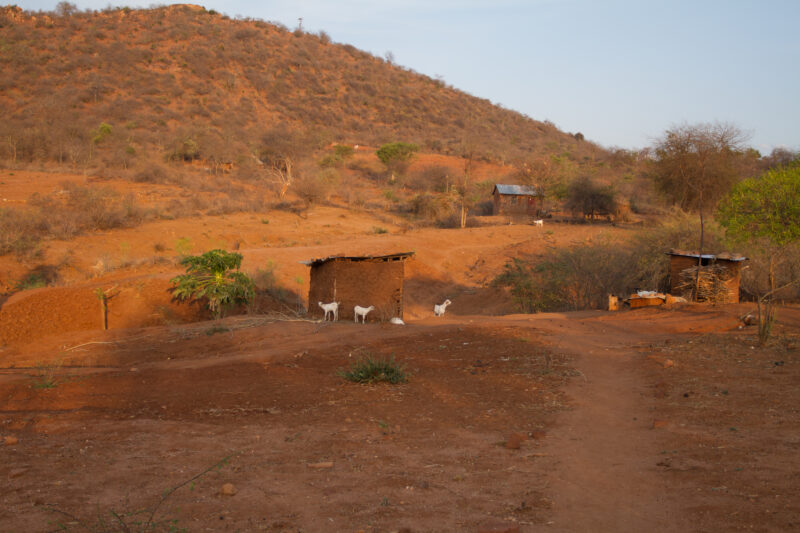 Drought in Kenya — Stock Images of Climate change in Keny leading to years of drought and desertification — Kenya, drought