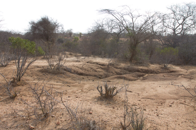 Drought in Kenya — Stock Images of Climate change in Keny leading to years of drought and desertification — Kenya, drought
