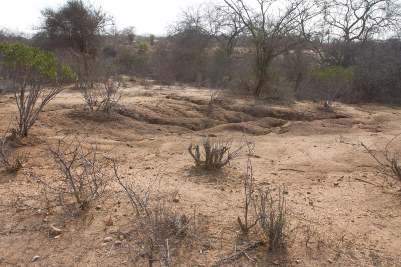 Drought in Kenya — Stock Images of Climate change in Keny leading to years of drought and desertification — Kenya, drought