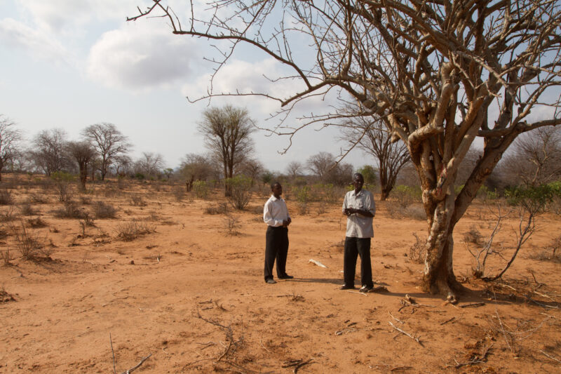 Drought in Kenya — Stock Images of Climate change in Keny leading to years of drought and desertification — Kenya, drought