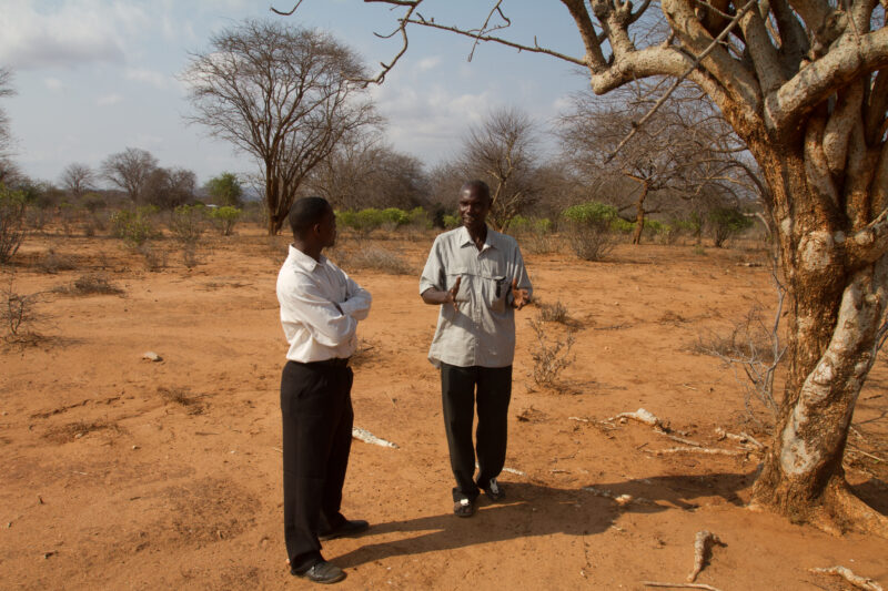 Drought in Kenya — Stock Images of Climate change in Keny leading to years of drought and desertification — Kenya, drought