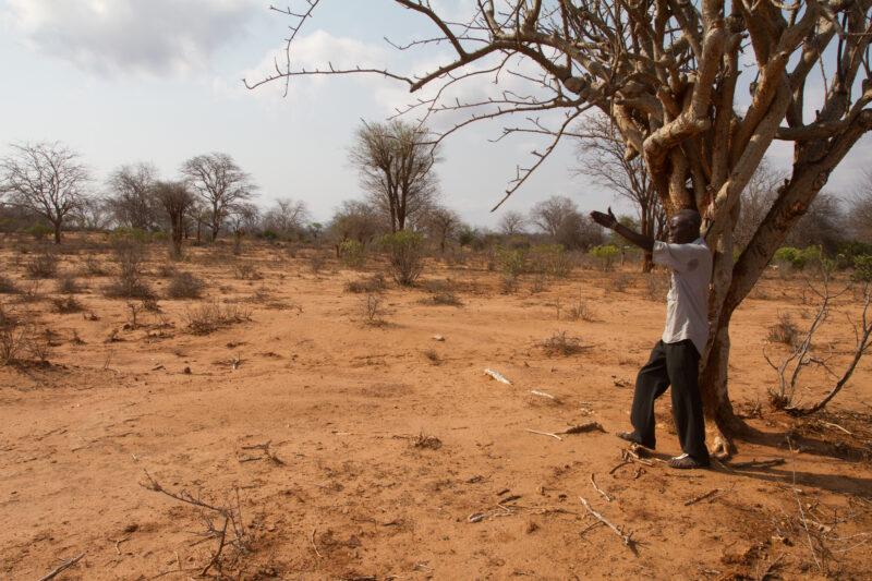 Drought in Kenya — Stock Images of Climate change in Keny leading to years of drought and desertification — Kenya, drought
