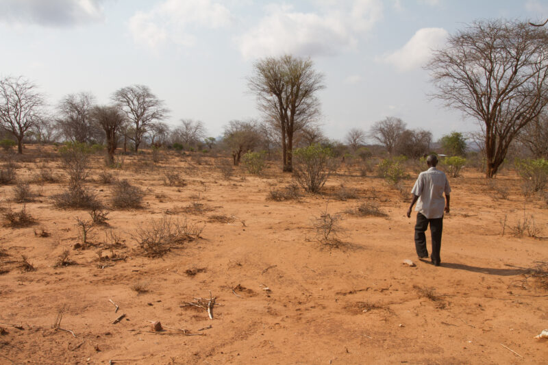 Drought in Kenya — Stock Images of Climate change in Keny leading to years of drought and desertification — Kenya, drought