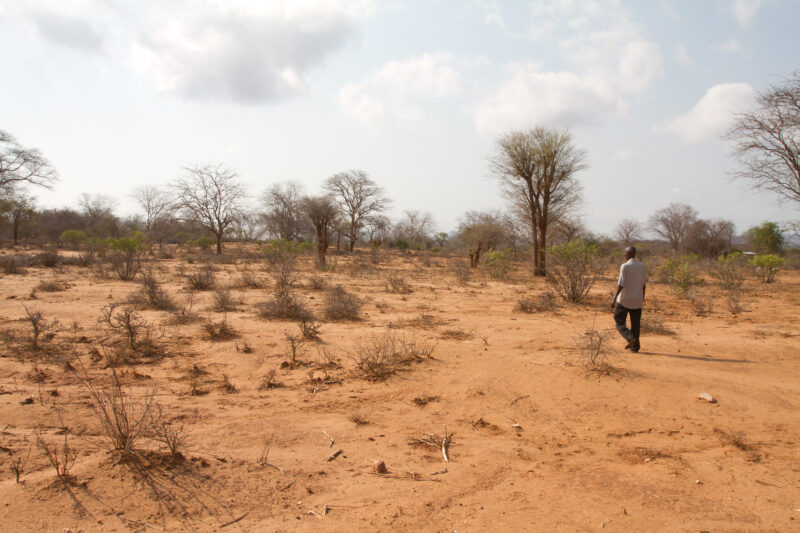 Drought in Kenya — Stock Images of Climate change in Keny leading to years of drought and desertification — Kenya, drought
