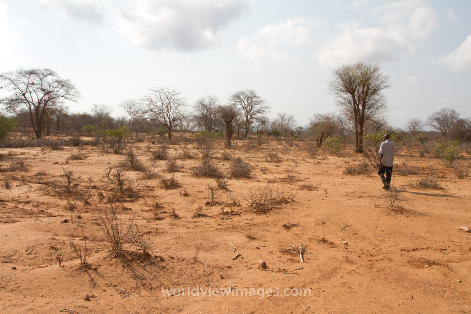Drought in Kenya