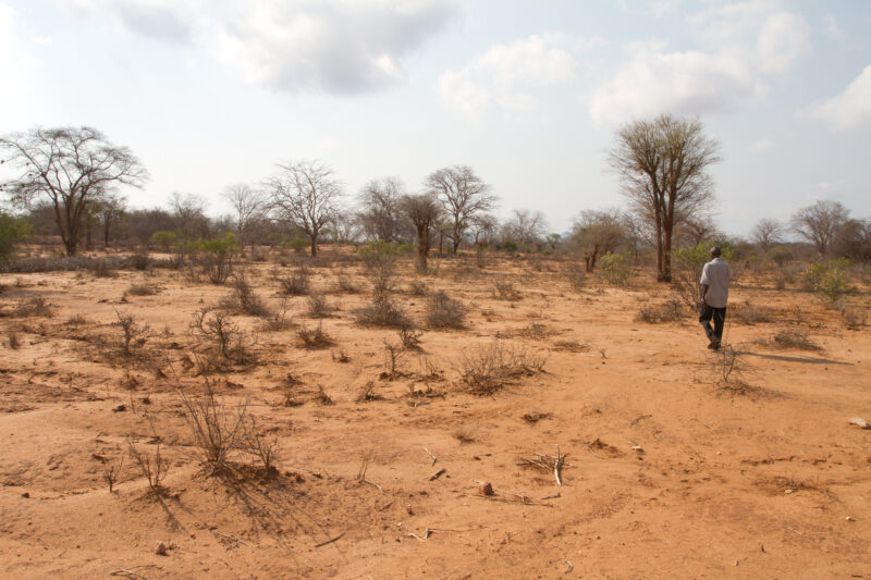 Drought in Kenya — Stock Images of Climate change in Keny leading to years of drought and desertification — Kenya, drought