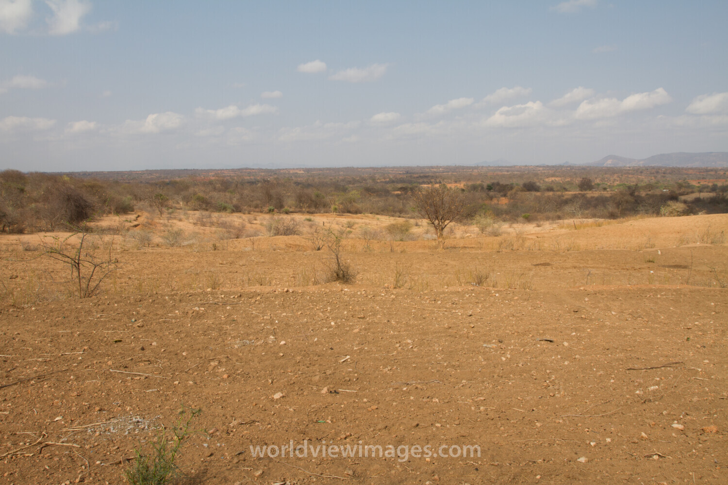 Drought in Kenya